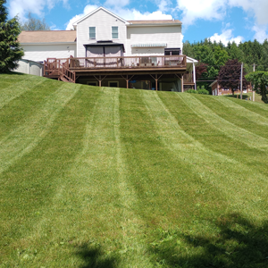 Mowing
