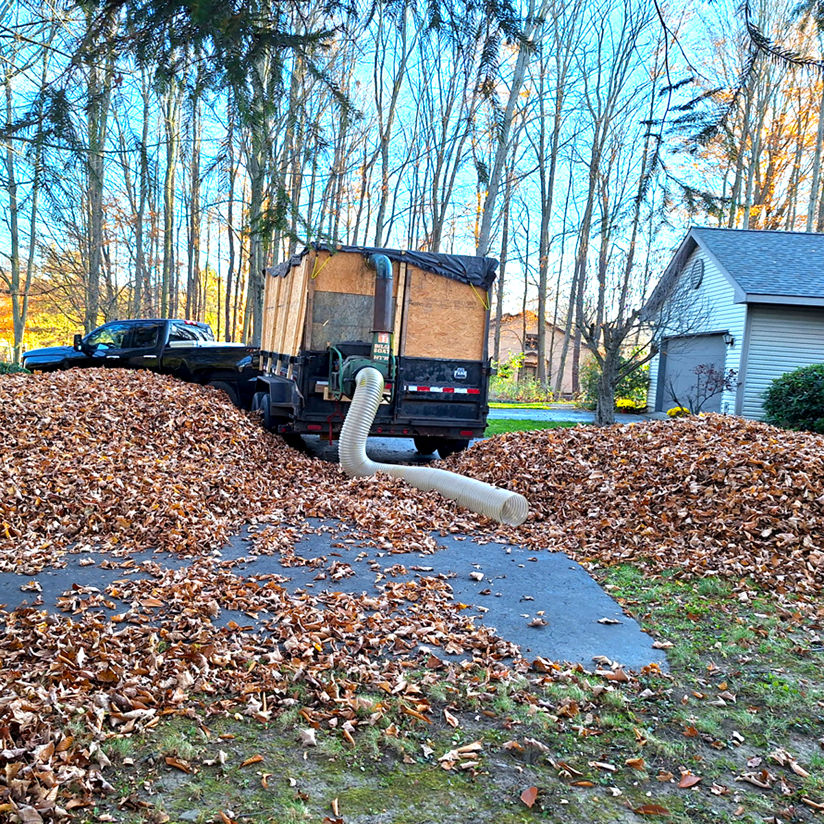 autumn_leaf_vaccuum