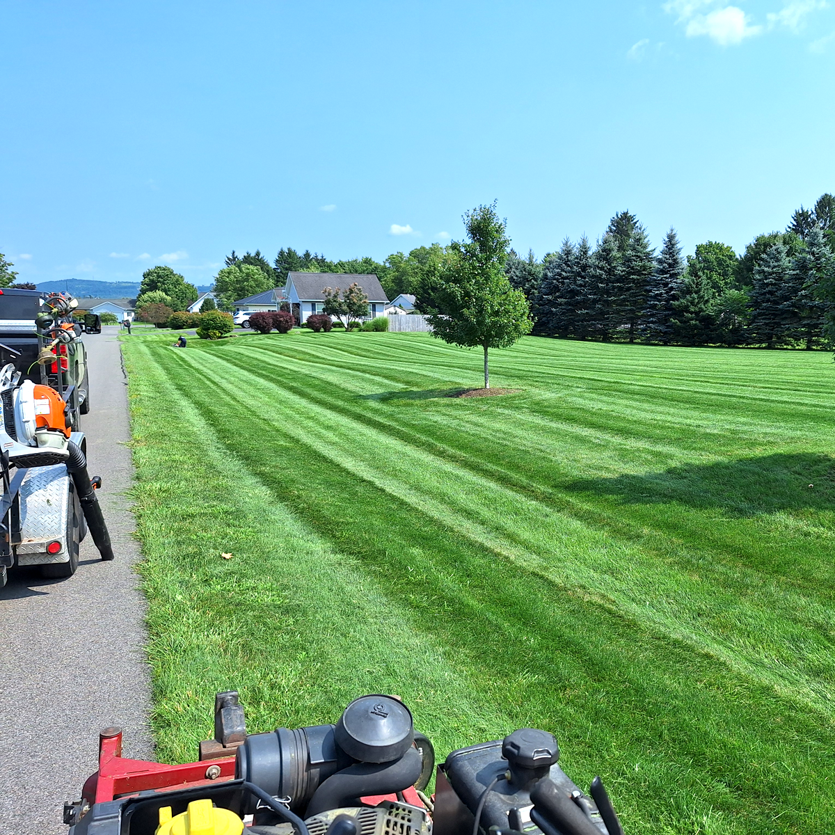 lawnmowed_stripes