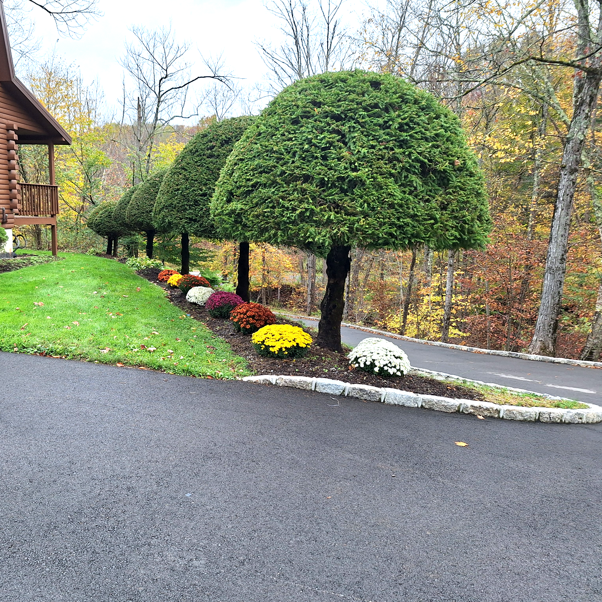 pruned_trees